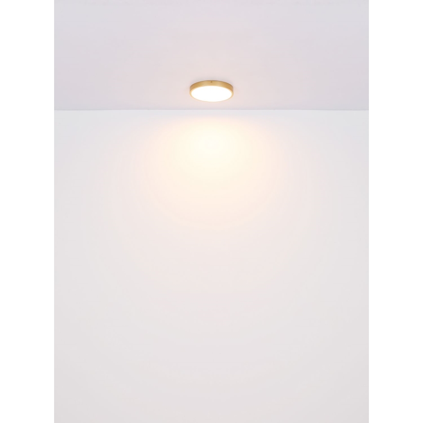 Globo - LED Plafonjera LED/30W/230V pr. 45 cm