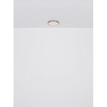 Globo - LED Plafonjera LED/30W/230V pr. 45 cm