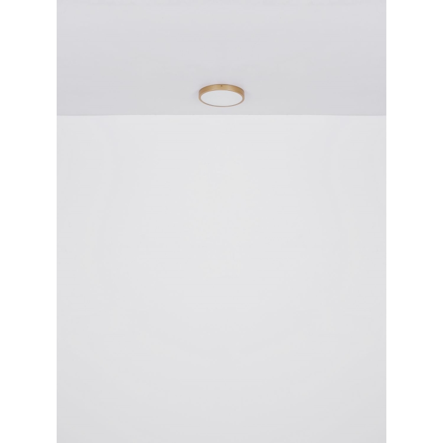 Globo - LED Plafonjera LED/30W/230V pr. 45 cm