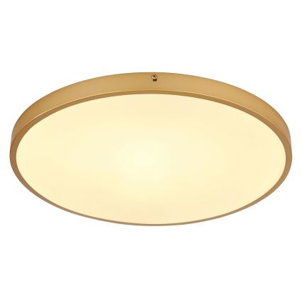 Globo - LED Plafonjera LED/30W/230V pr. 45 cm