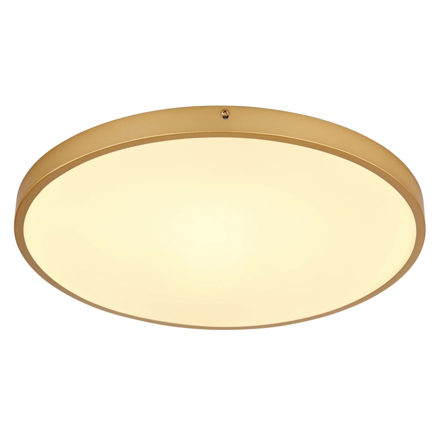 Globo - LED Plafonjera LED/30W/230V pr. 45 cm