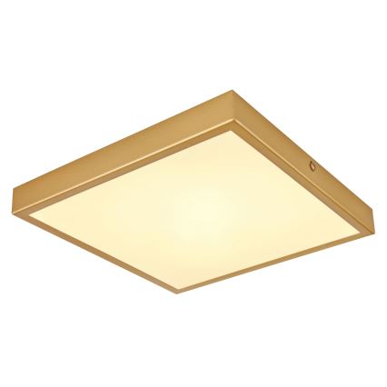 Globo - LED Plafonjera LED/15W/230V 25x25 cm