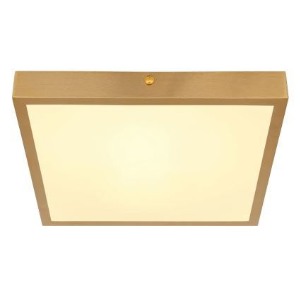 Globo - LED Plafonjera LED/15W/230V 25x25 cm