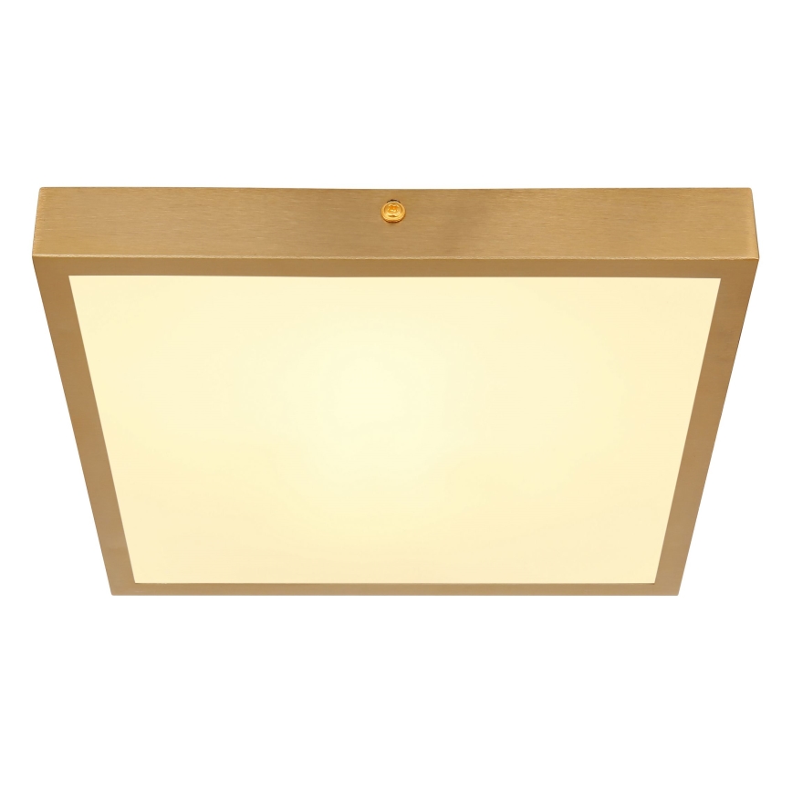 Globo - LED Plafonjera LED/15W/230V 25x25 cm