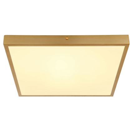 Globo - LED Plafonjera LED/22W/230V 35x35 cm