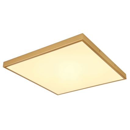 Globo - LED Plafonjera LED/30W/230V 45x45 cm