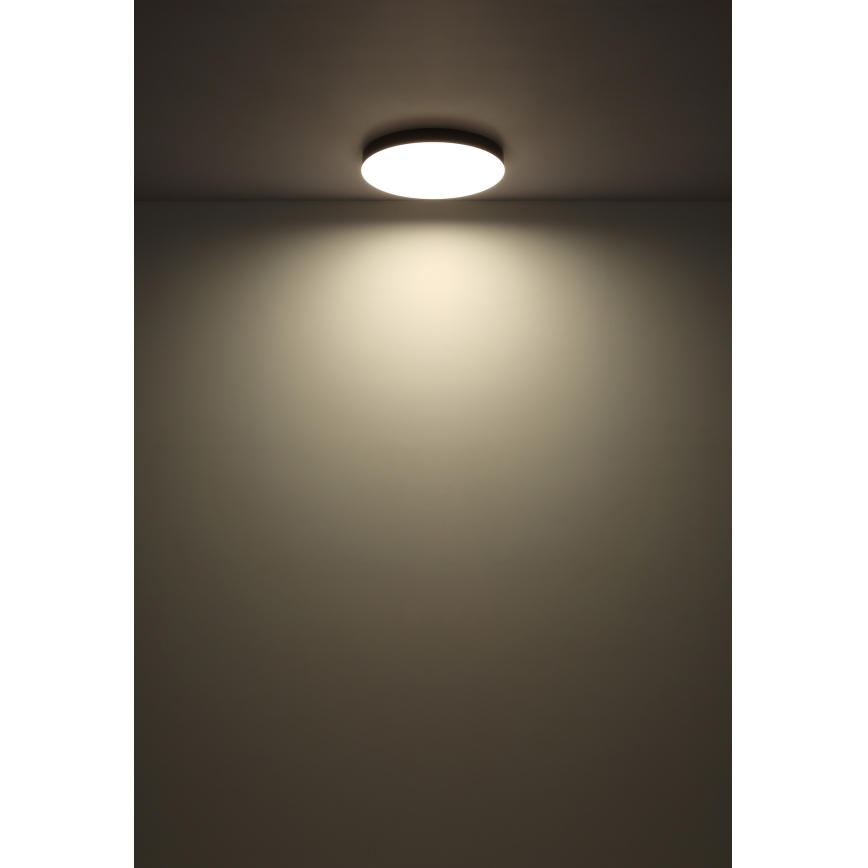 Globo - LED Plafonjera LED/24W/230V 3000K/4000K/6500K pr. 30 cm crno