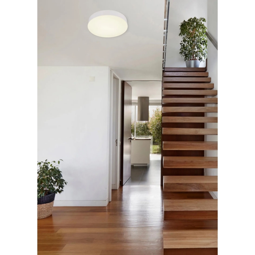 Globo - LED Plafonjera LED/24W/230V 3000K/4000K/6500K pr. 30 cm bela