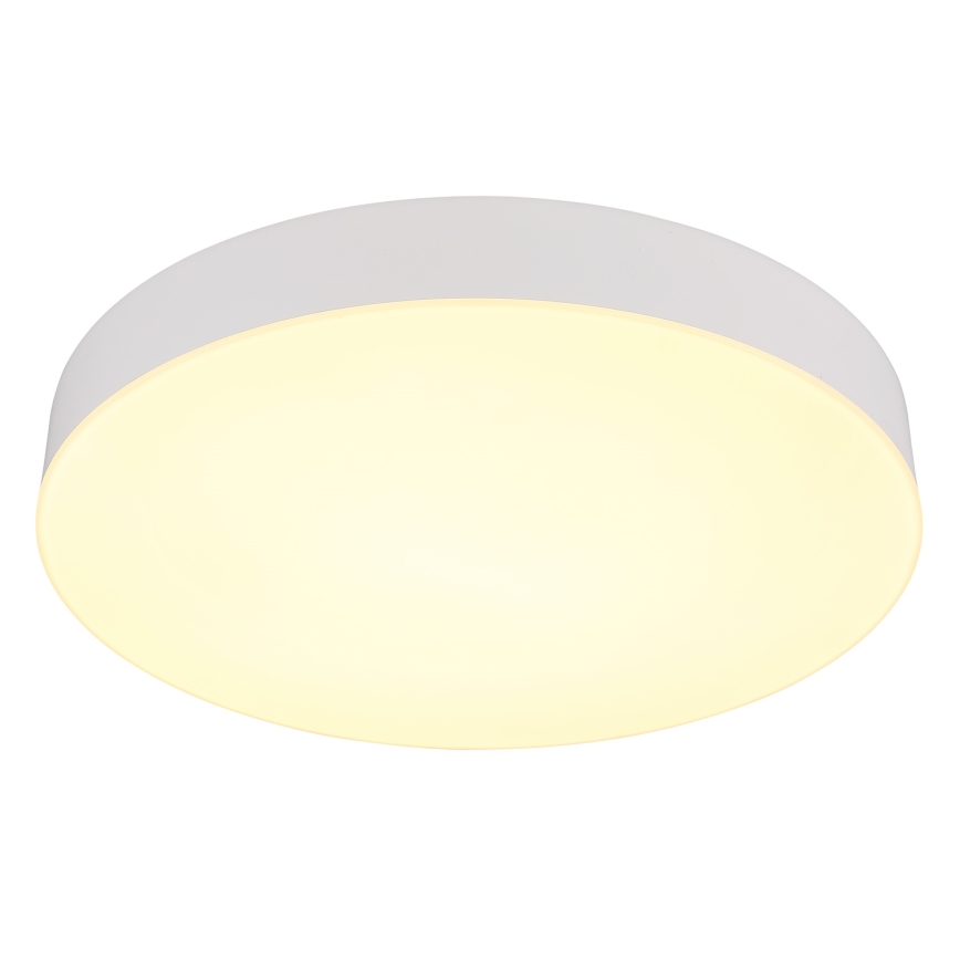 Globo - LED Plafonjera LED/24W/230V 3000K/4000K/6500K pr. 30 cm bela