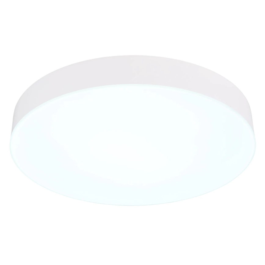 Globo - LED Plafonjera LED/24W/230V 3000K/4000K/6500K pr. 30 cm bela