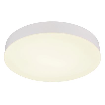 Globo - LED Plafonjera LED/24W/230V 3000K/4000K/6500K pr. 30 cm bela