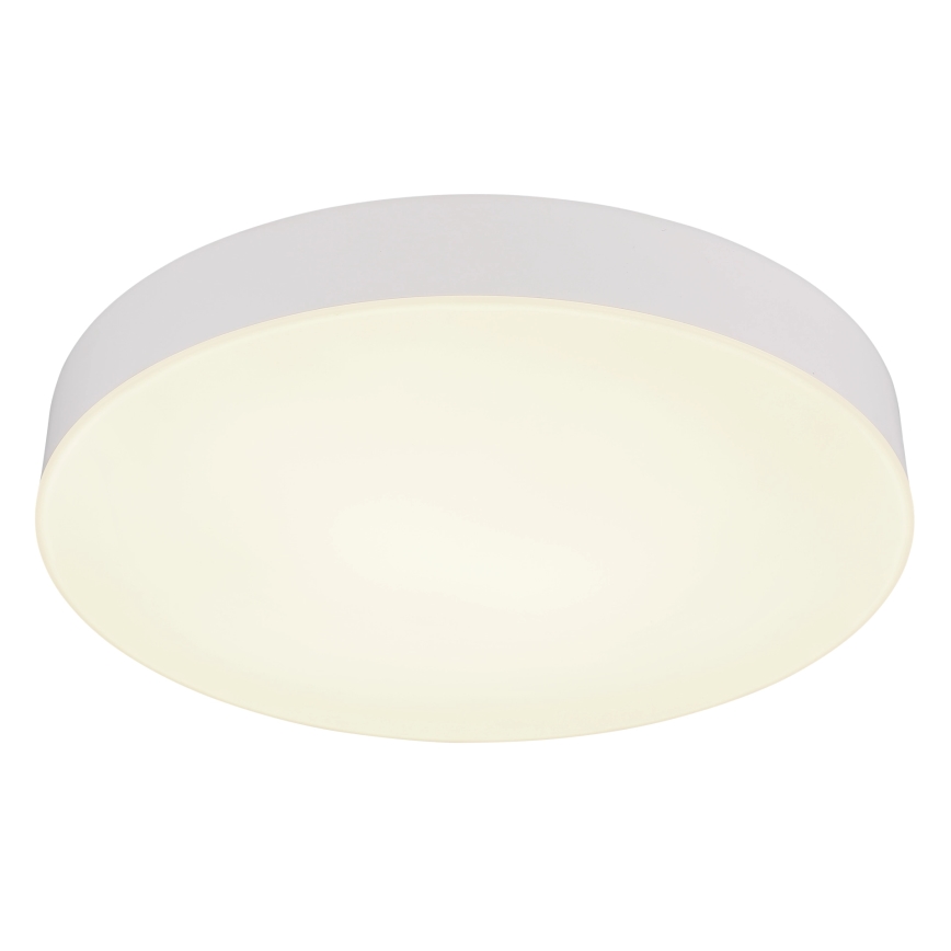 Globo - LED Plafonjera LED/24W/230V 3000K/4000K/6500K pr. 30 cm bela