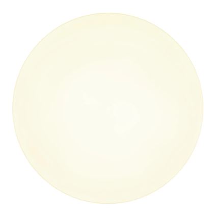 Globo - LED Plafonjera LED/24W/230V 3000K/4000K/6500K pr. 30 cm bela