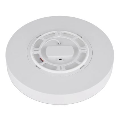 Globo - LED Plafonjera LED/24W/230V 3000K/4000K/6500K pr. 30 cm bela