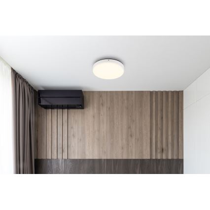 Globo - LED Plafonjera LED/12W/230V 4000K pr. 22 cm bela