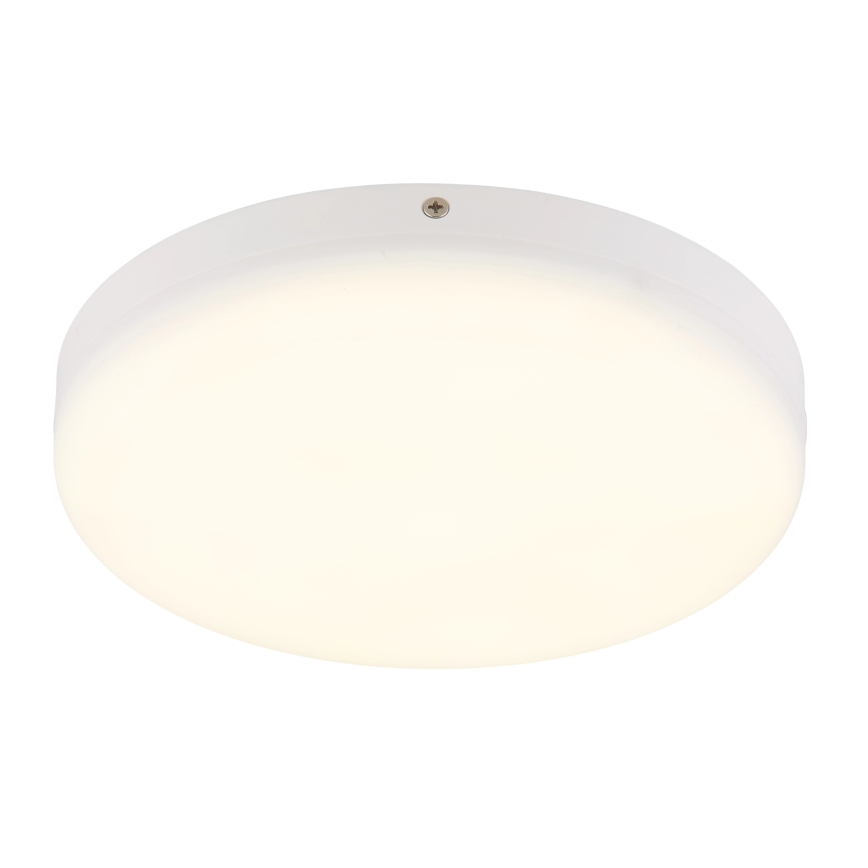 Globo - LED Plafonjera LED/12W/230V 4000K pr. 22 cm bela