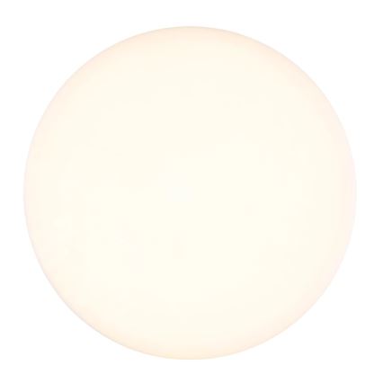 Globo - LED Plafonjera LED/8W/230V 4000K pr. 12 cm bela