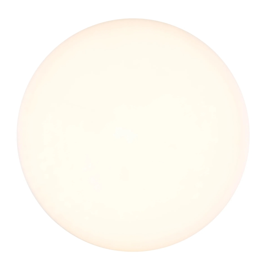 Globo - LED Plafonjera LED/8W/230V 4000K pr. 12 cm bela