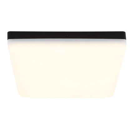 Globo - LED Plafonjera LED/12W/230V 4000K 22x22 cm crno