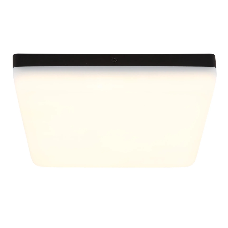 Globo - LED Plafonjera LED/12W/230V 4000K 22x22 cm crno