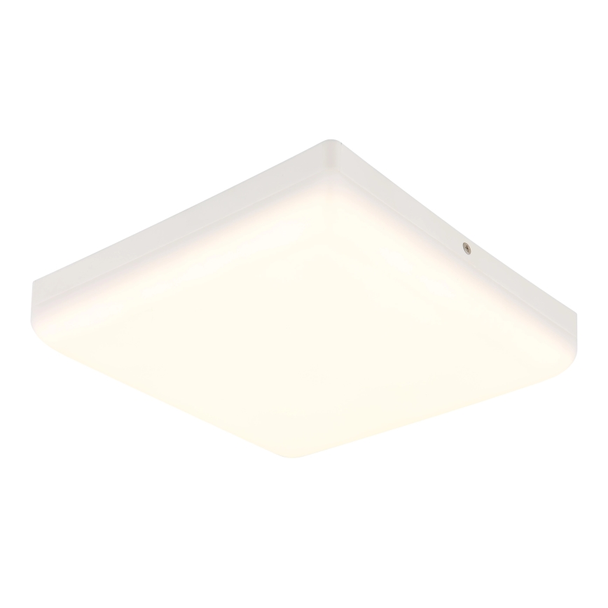 Globo - LED Plafonjera LED/12W/230V 4000K 22x22 cm bela