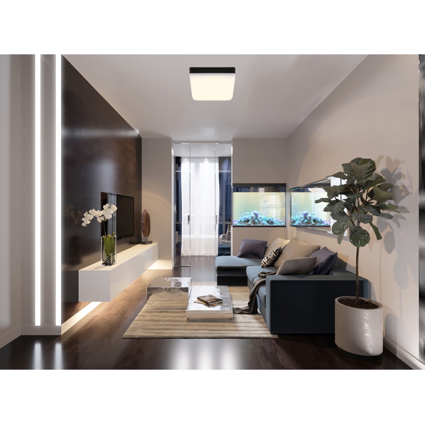 Globo - LED Plafonjera LED/8W/230V 4000K 12x12 cm crno
