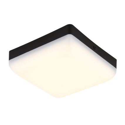 Globo - LED Plafonjera LED/8W/230V 4000K 12x12 cm crno