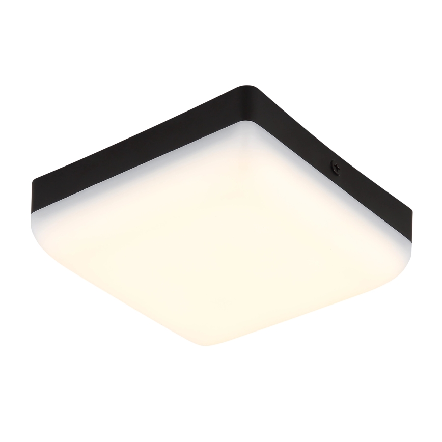 Globo - LED Plafonjera LED/8W/230V 4000K 12x12 cm crno