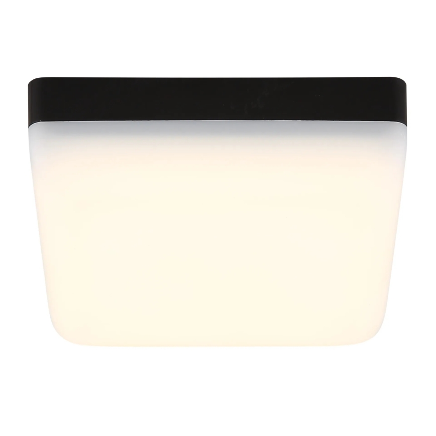 Globo - LED Plafonjera LED/8W/230V 4000K 12x12 cm crno