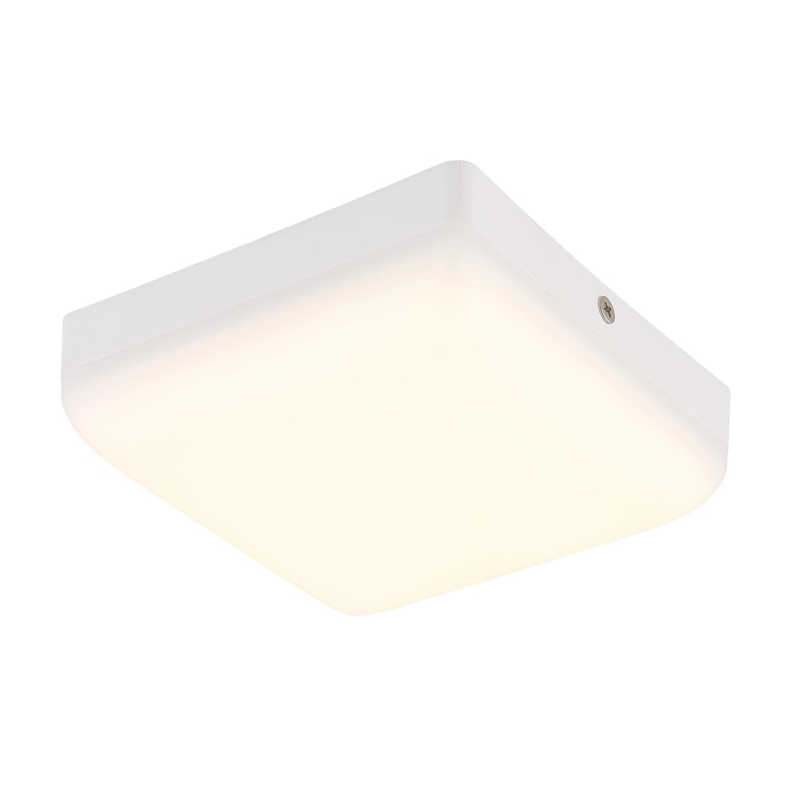 Globo - LED Plafonjera LED/8W/230V 4000K 12x12 cm bela