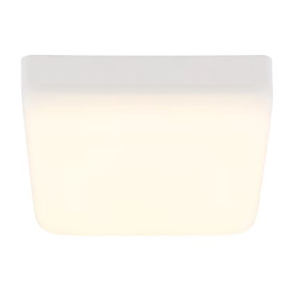Globo - LED Plafonjera LED/8W/230V 4000K 12x12 cm bela