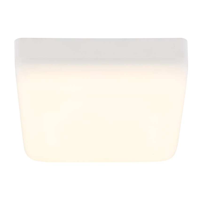 Globo - LED Plafonjera LED/8W/230V 4000K 12x12 cm bela