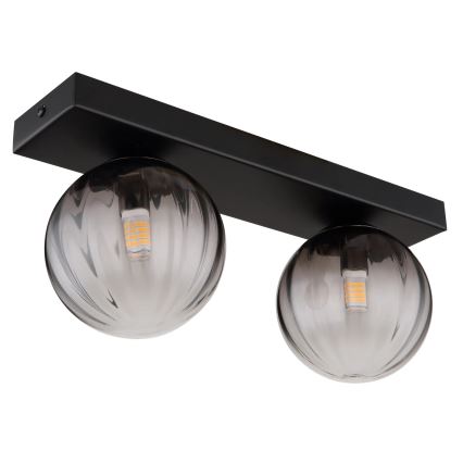 Globo - Plafonjera 2xG9/10W/230V