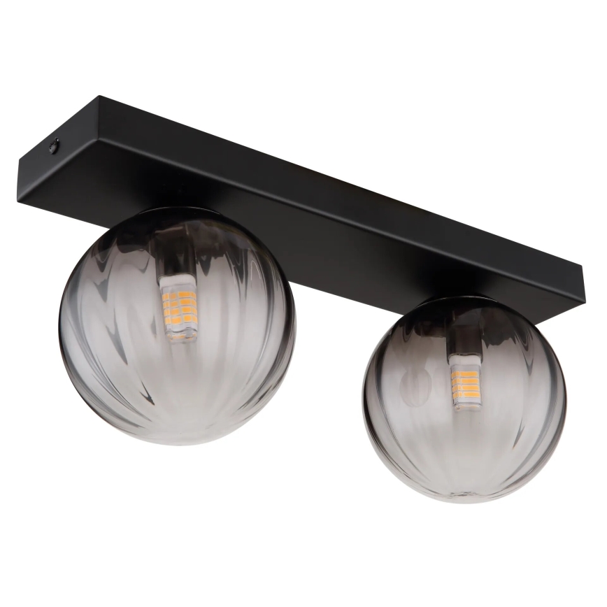Globo - Plafonjera 2xG9/10W/230V