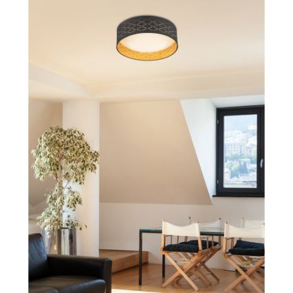 Globo 15229D7 - LED Plafonjera CLARKE LED/18W/230V