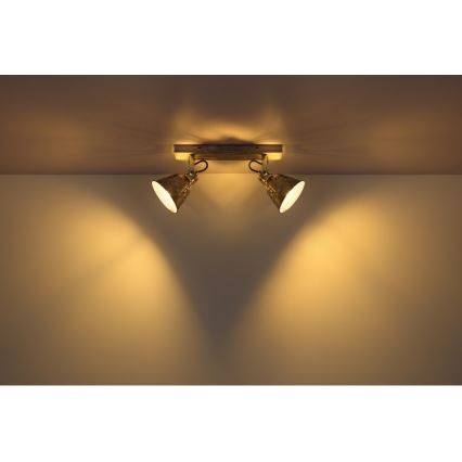 Globo - Reflektorska lampa 2xE27/60W/230V jela