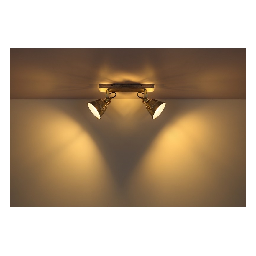 Globo - Reflektorska lampa 2xE27/60W/230V jela