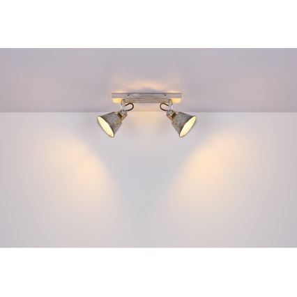 Globo - Reflektorska lampa 2xE27/60W/230V jela