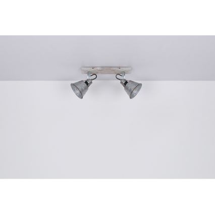 Globo - Reflektorska lampa 2xE27/60W/230V jela
