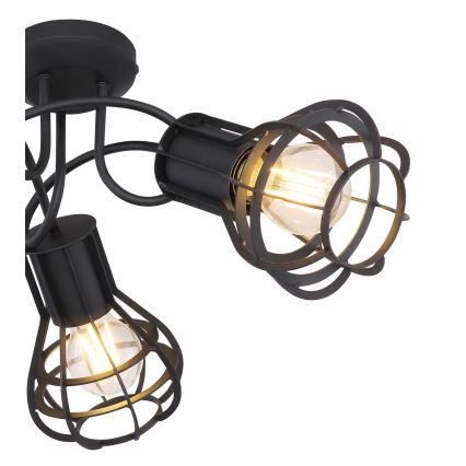 Globo - Reflektorska lampa 3xE27/40W/230V