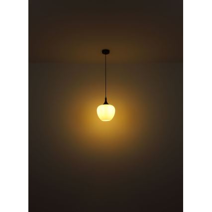 Globo - Luster na sajli 1xE27/60W/230V pr. 29 cm bela/braon