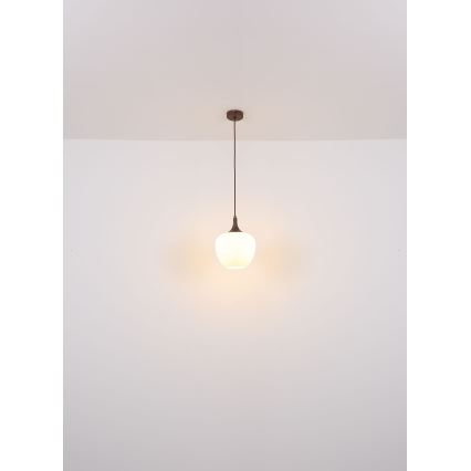 Globo - Luster na sajli 1xE27/60W/230V pr. 29 cm bela/braon