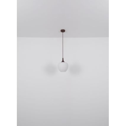 Globo - Luster na sajli 1xE27/60W/230V pr. 29 cm bela/braon