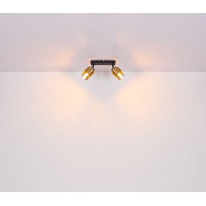 Globo - Reflektorska lampa 2xE27/40W/230V crno/mesing