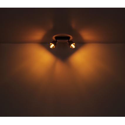 Globo - Spot svetiljka 2xE27/40W/230V crna/mesing