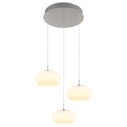 Globo - LED luster na sajli 3xLED/6W/230V