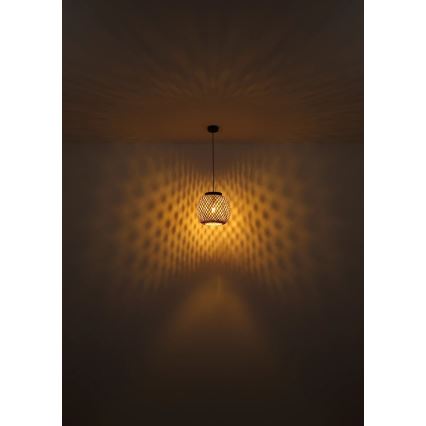 Globo 15766H - Luster na sajli COLLY 1xE27/15W/230V pr. 20 cm