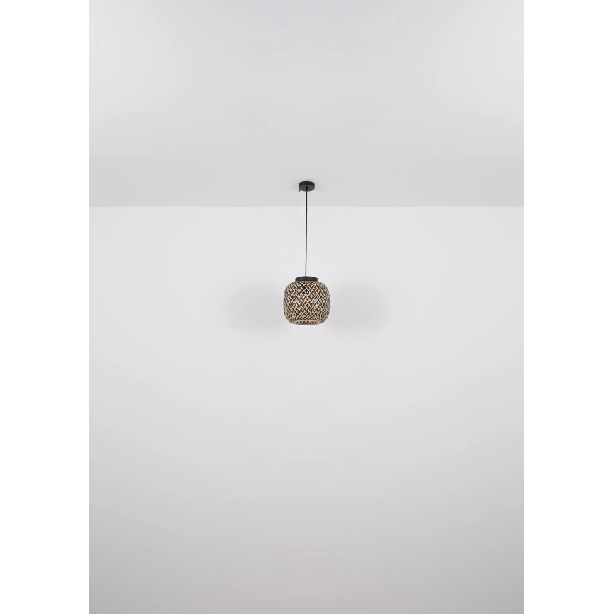 Globo 15766H - Luster na sajli COLLY 1xE27/15W/230V pr. 20 cm