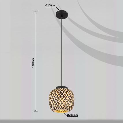 Globo 15766H - Luster na sajli COLLY 1xE27/15W/230V pr. 20 cm