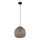 Globo 15766H1 - Luster na sajli COLLY 1xE27/15W/230V pr. 30 cm